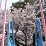 DSCF7777