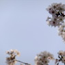 DSCF7784