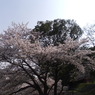 DSCF7778