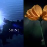輝き（組み写真）