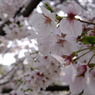 DSCF7783
