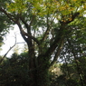 PC020040