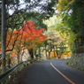 PC020043