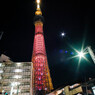 光芒を楽しむ