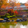 IMGP-風景-080618