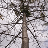R0016693