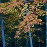 P1050078