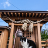 お参りですか？