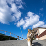 歩こう歩こう