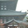 東大寺大仏殿