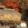 秋の茅葺屋根