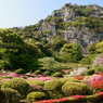 花まつり