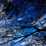 空のシルエット