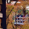 P1050197
