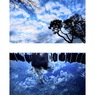 見上げる空／見下ろす空（組み写真）