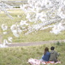 みえた光、現実。～宮城～