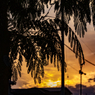 orange sky