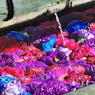 12月15日　花まいり