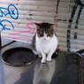 御機嫌…かなり傾いちゃった～～