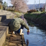 水くみ