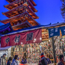 「冬空に羽子板市の灯り」