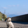 あったか日差し