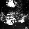R0012062