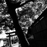 R0012066