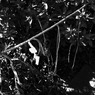 R0012070