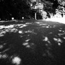 R0012090