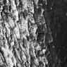 R0012120