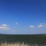 宍道湖