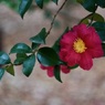 P1050431