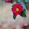 P1050438