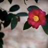P1050437