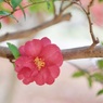 P1050424