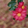 P1050412