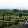 ハーブ園全景