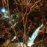 IMG_1775