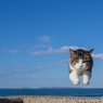 よいしょっとね