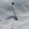 雪のち晴