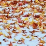 雪彩 2