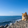 海辺のチャトくん