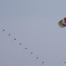 「SKY」ダイヤ・青雲凧  と  大きな・カラフル凧
