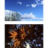 青空／紅葉（組み写真）