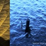 アジサイ／水面（組み写真＋ソフトフィルター）