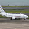 「はれ」PAL  FLIGHT  アンガラウイングス