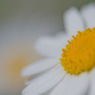 20110319-IMG_0002