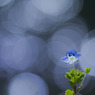 20110319-IMG_0020