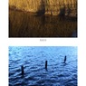 ヨシ／水面（組み写真＋ソフトフィルター）